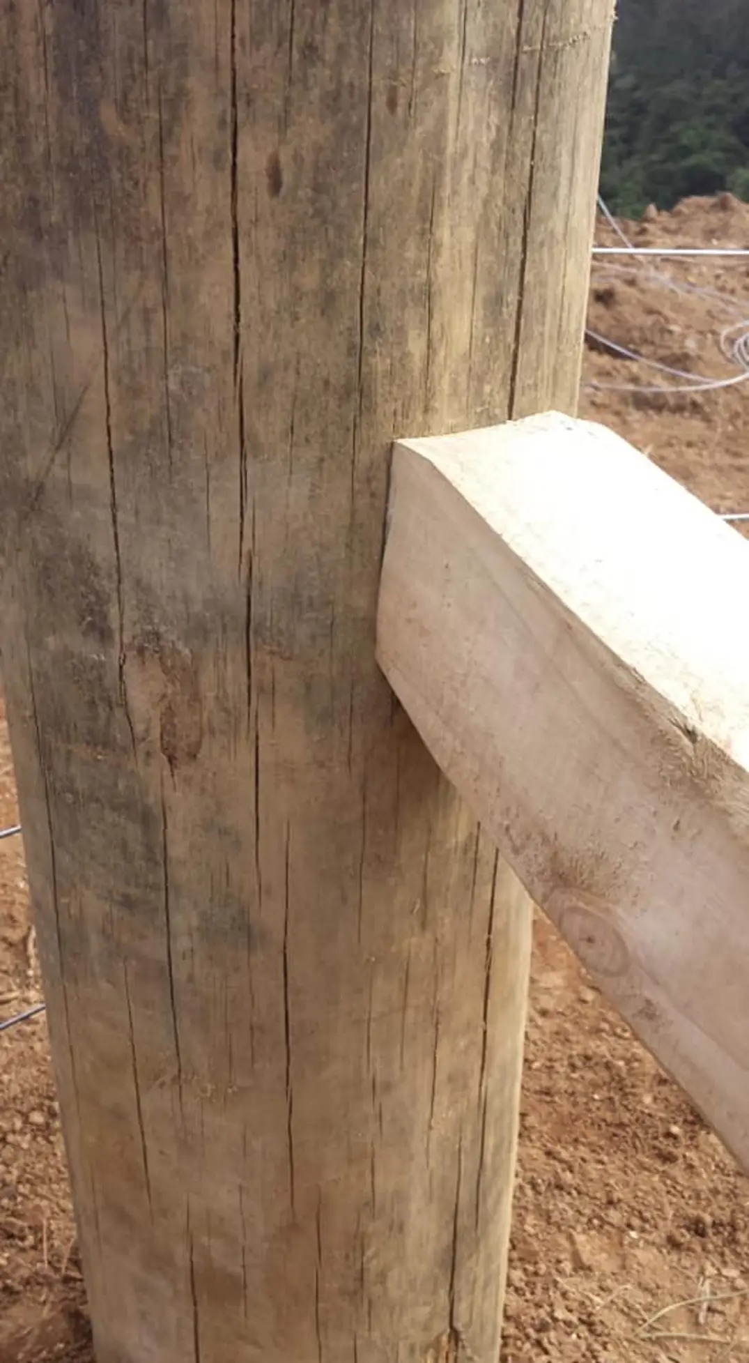 Lifestyle Block Fencing