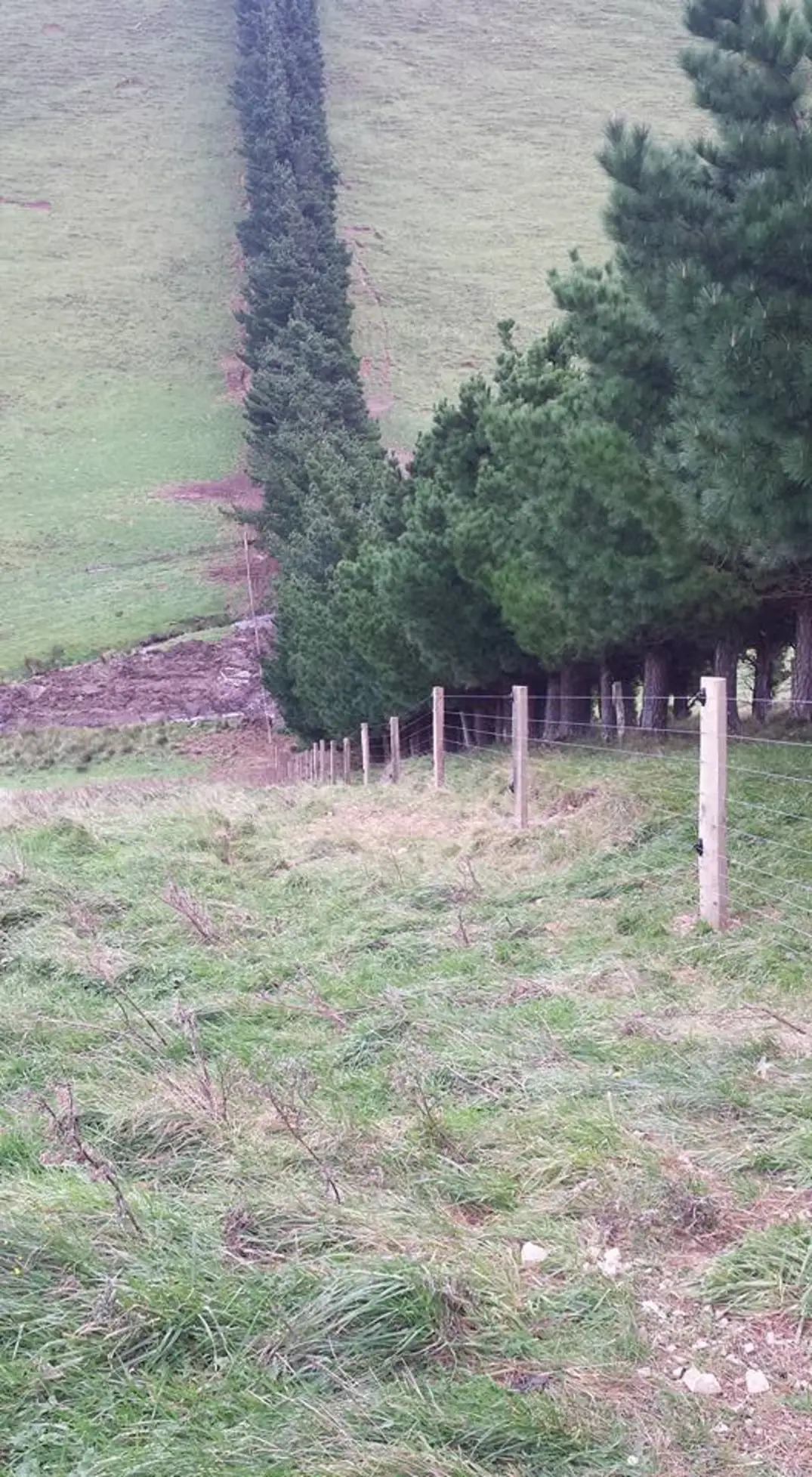 Agricultural Fencing
